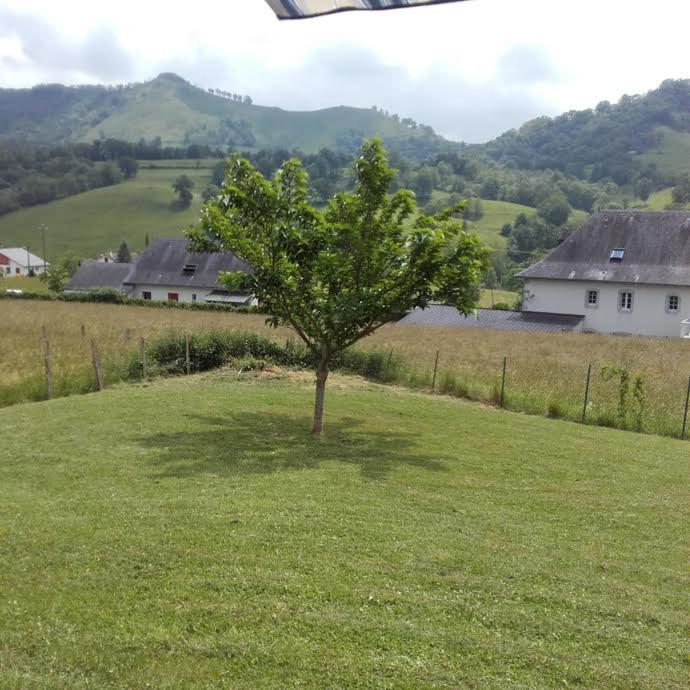 Gite Etchegoyhen Lacarry-Arhan-Charritte-de-Haut Exterior foto